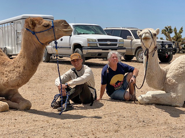 Two people taking a rest sitting on the ground with two camels. Camp with the Camels at Goffs, Mojave Desert Heritage & Cultural Association photo: Laura Misajet
